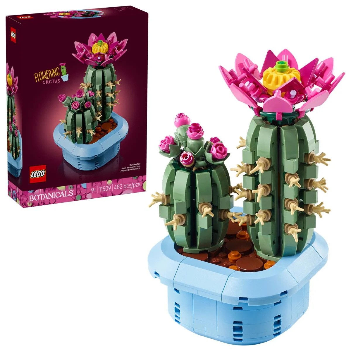 Miniatura 6