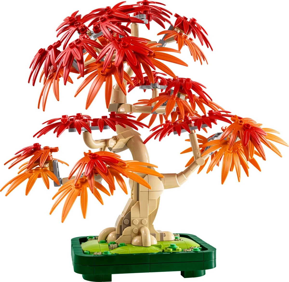 Miniatura 4