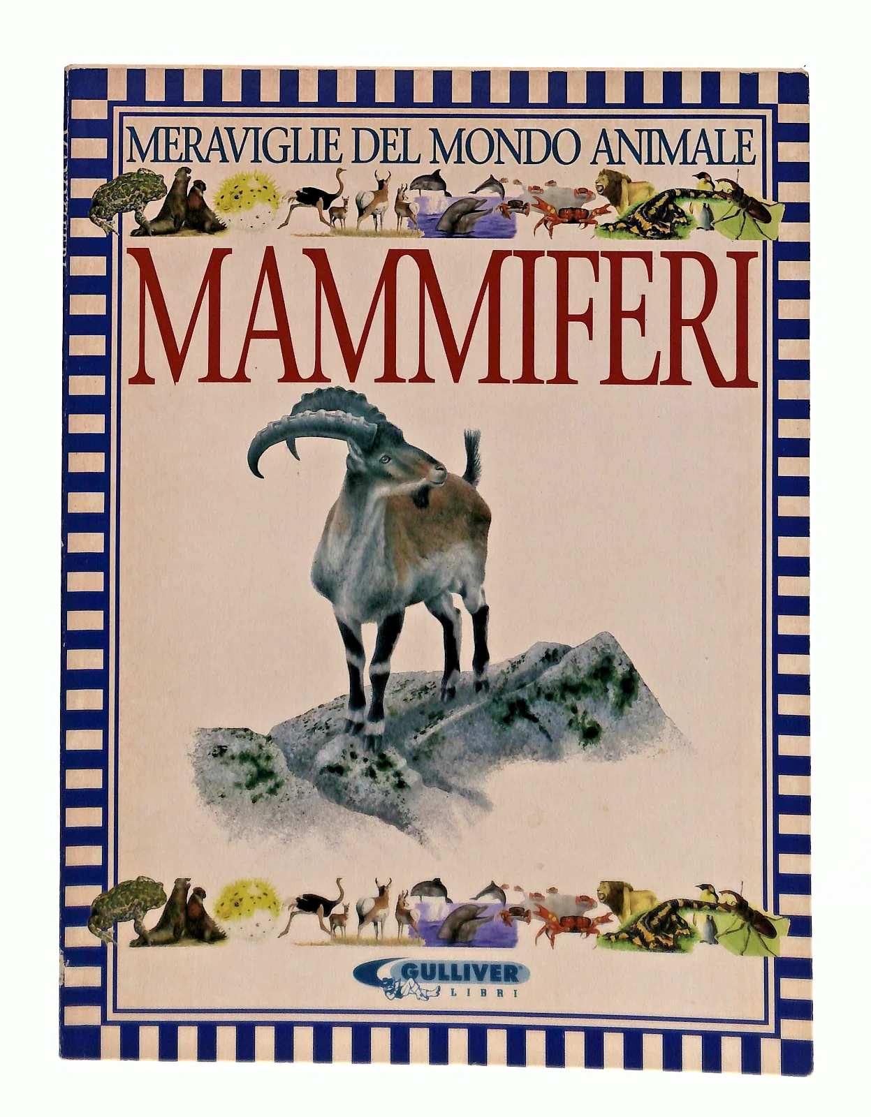 Immagine prodotto 1